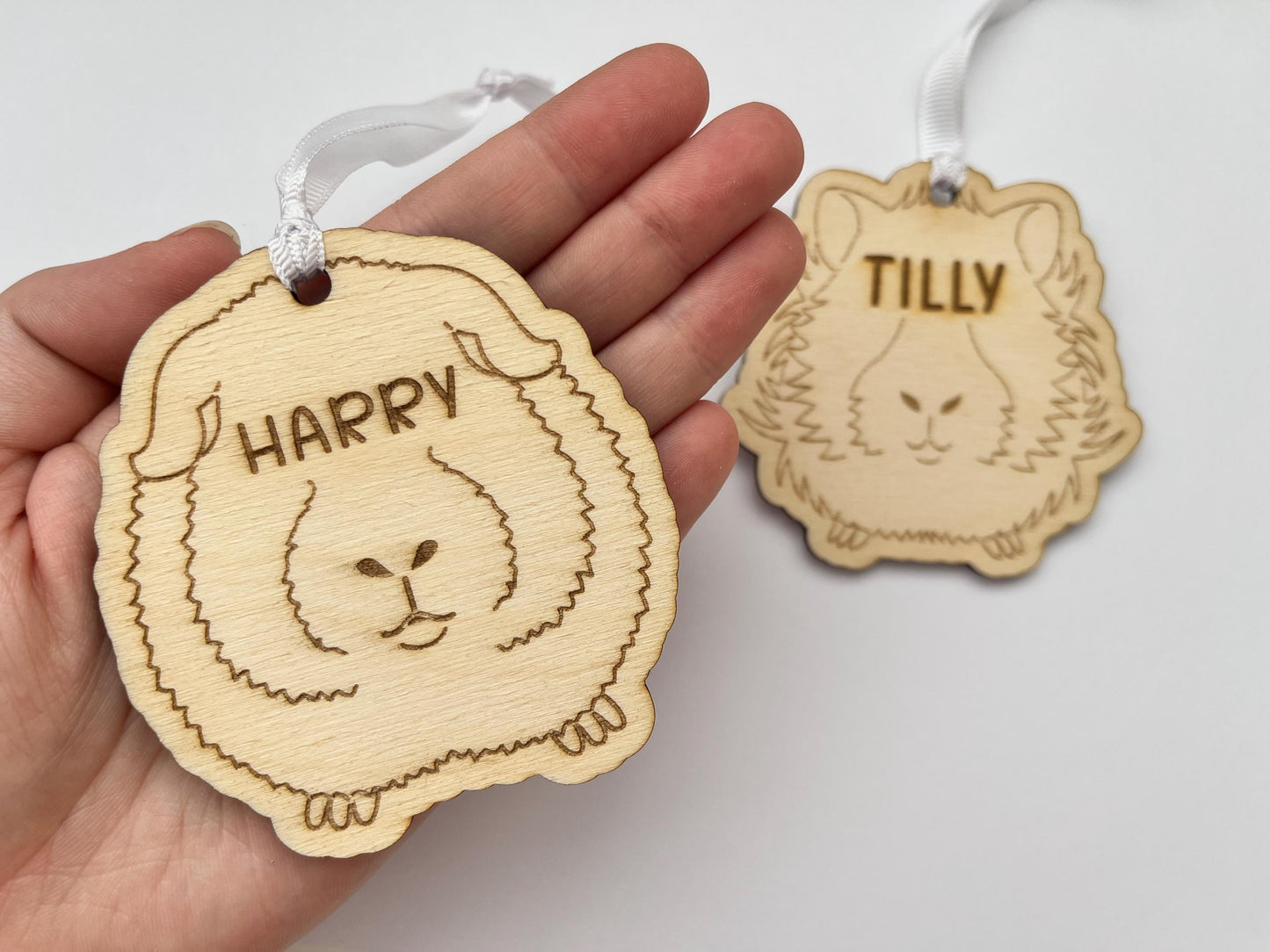 Personalised Hanging Pet Decor / Memorial - Guinea Pig